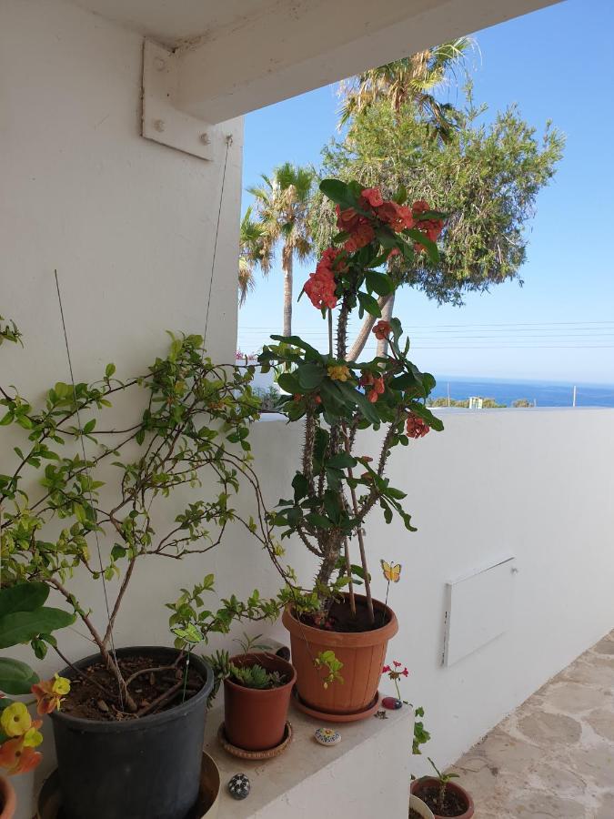 Ikaria Village Maisonette 12 Paphos Exterior photo
